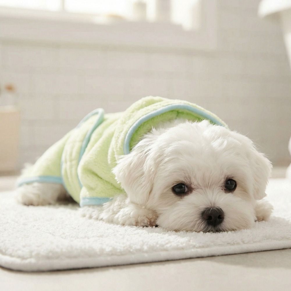 Super Absorbent Dog Hooded Bat - Hooded Bath Towel 评论和价格